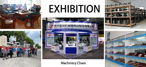 Factory Direct Sales OEM Agricultural Machinery Engineering Industrial Transmission Conveyor Roller Chain