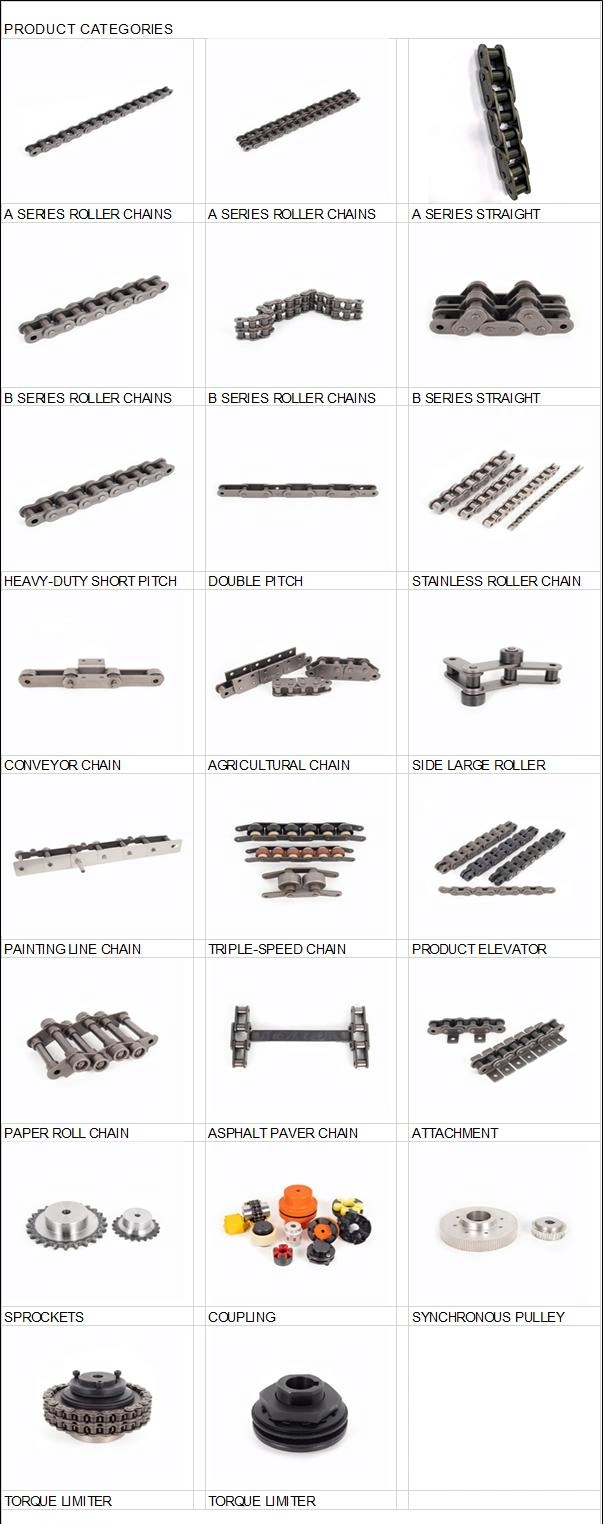 10A-2 A Series Short Pitch Roller Chains Short Pitch Transmission Roller Chain
