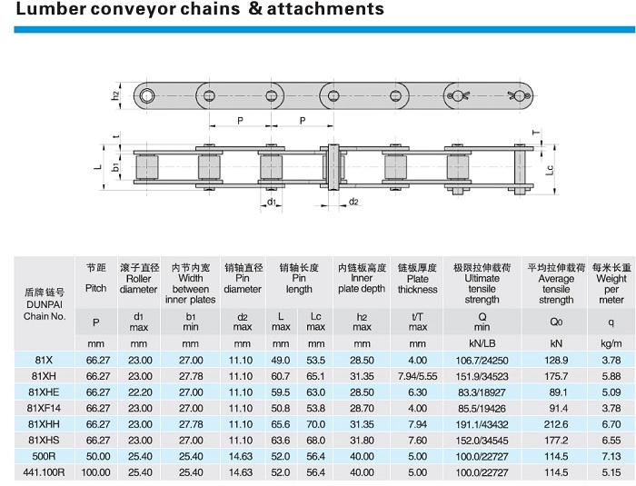 Transmission Industrial Conveyor Chain Roller Chain /Hollow Chain/Stainless Steel Pintle Chain/Motorcycle/Agricultural Chain